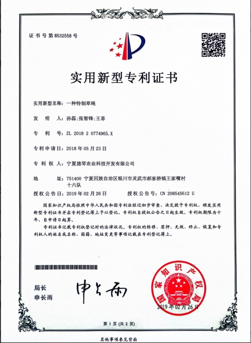 寧夏黄色91视频免费下载子