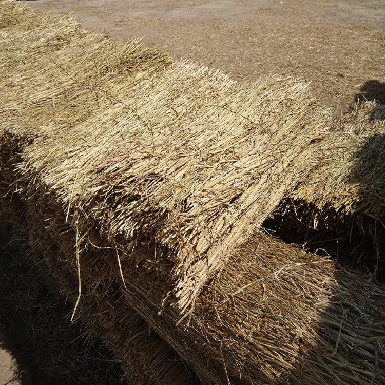 寧夏91视频免费网站廠家批發